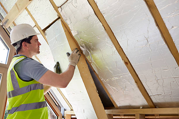 Best Professional Insulation Contractor  in Bayonne, NJ